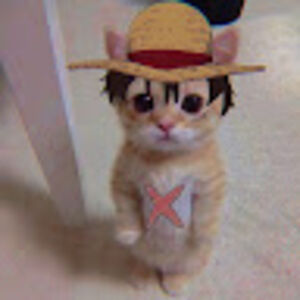 thenamuthanrajakulasingam avatar