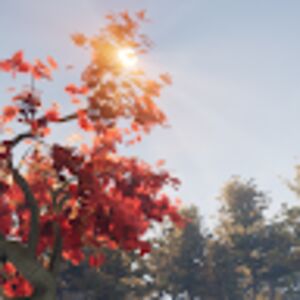 modestoperera avatar