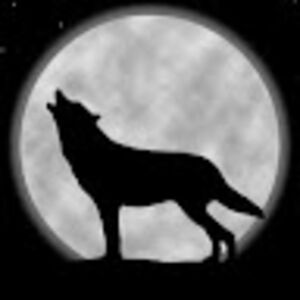 ericmacmullin avatar