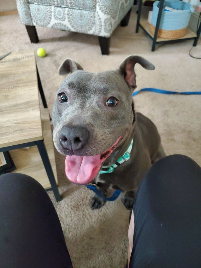 My Newly Adopted Bestie