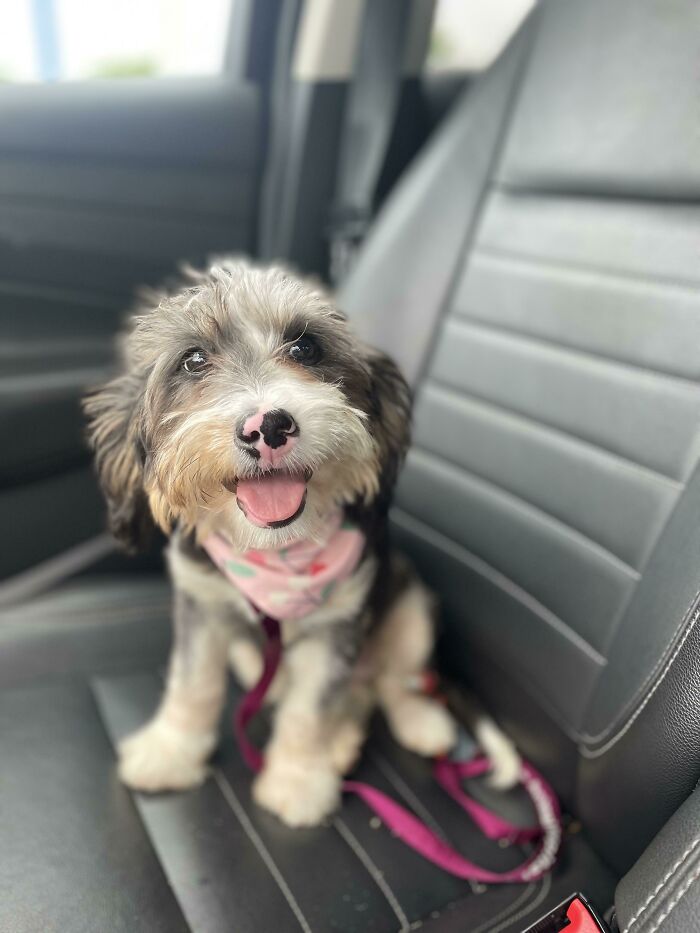 Bonnie’s Big Smile On Her Adoption Day