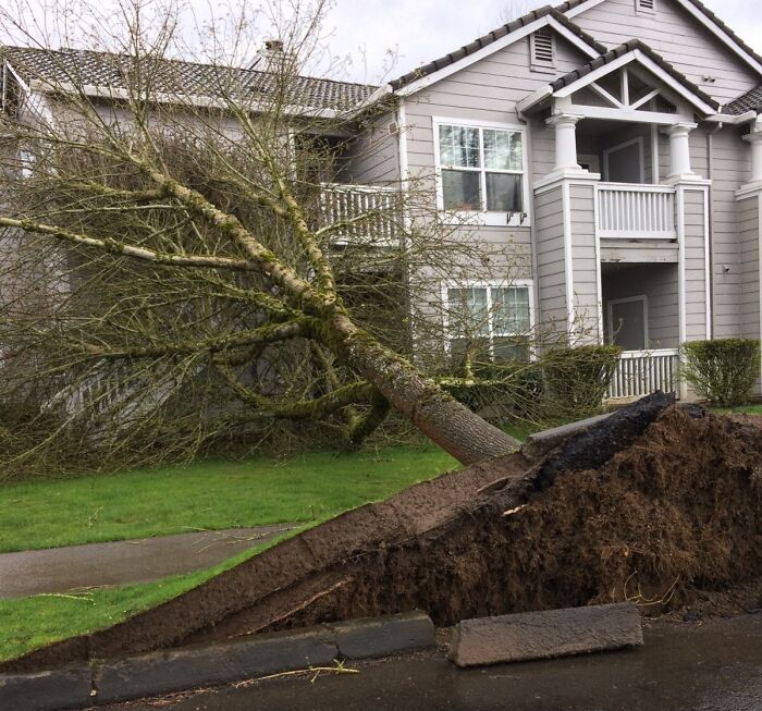 So There Were "High Wind" Warnings In Oregon. Didn't Expect This To Happen Though