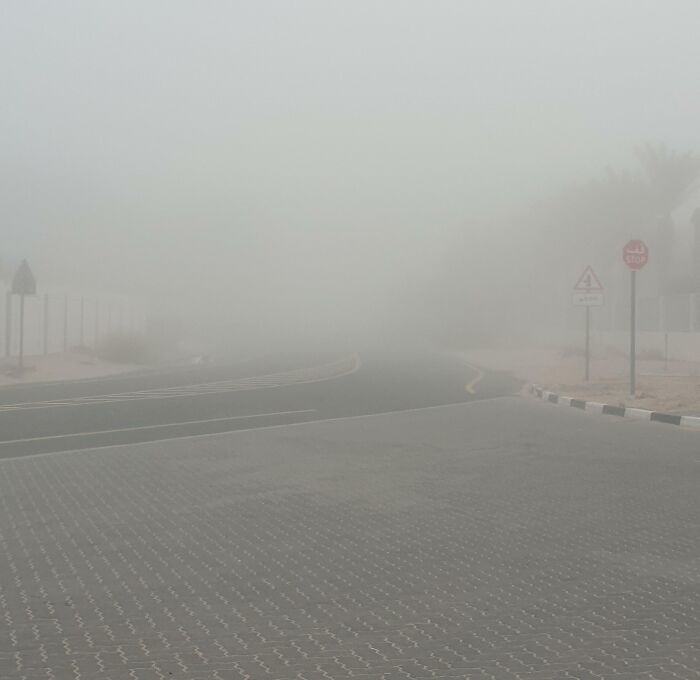 This Is The Road I'm Supposed To Drive On My Final Driving Test This Morning. Fog My Life