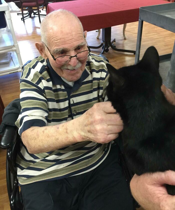 The Shelter I Volunteer At Has A Program That Brings Senior Cats To Visit Seniors In Nursing Homes. This Man's Face Says It All