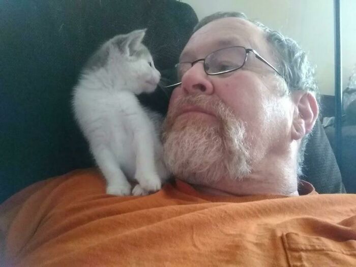At 62 Years Old, I Decided To Get Over My "I Don't Like Cats" Phase. Here Is The Result So Far