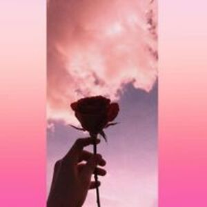 direwolfie4life avatar