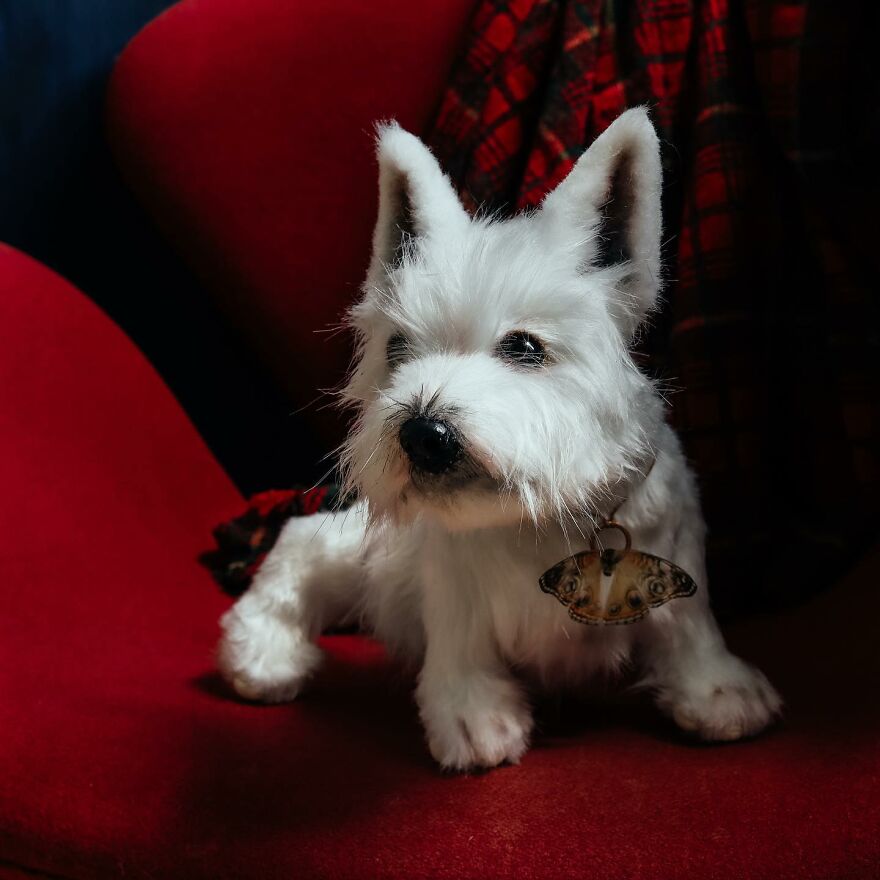 I’m Creating Pets And Animals By Hand, Only Using Needle, Thread And Faux Fur