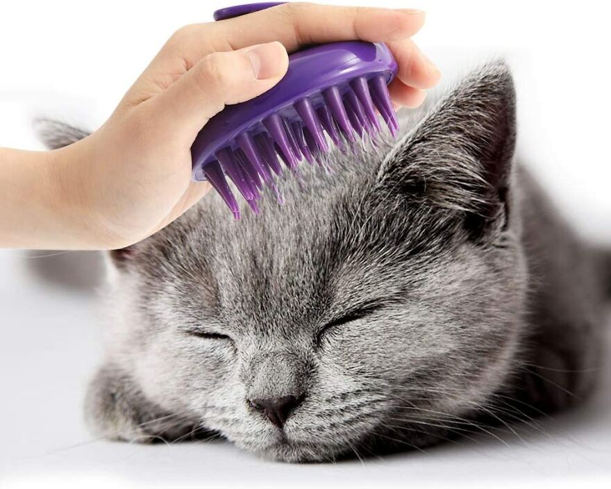 20 Unique And Amazing Products Which You Can Buy From Amazon For You Pet Cat