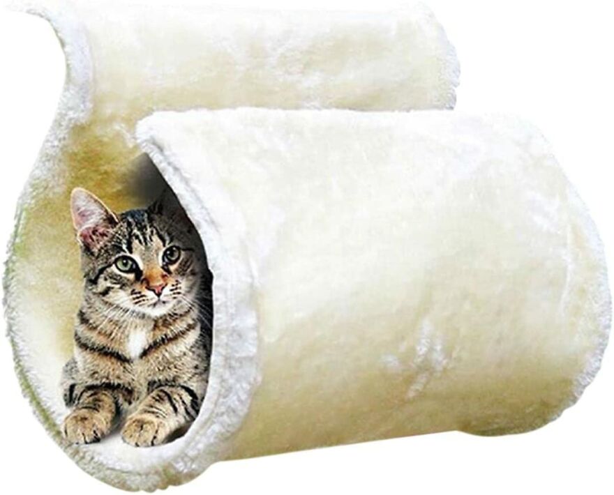20 Unique And Amazing Products Which You Can Buy From Amazon For You Pet Cat