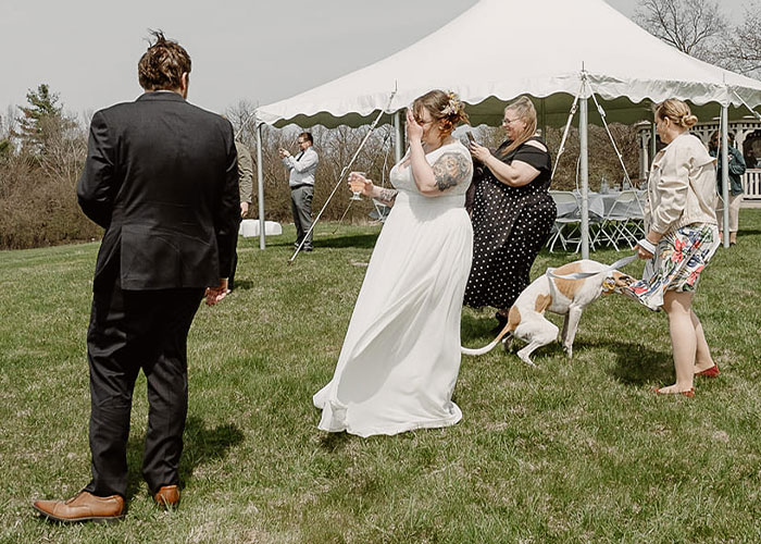 Dog Goes Viral For Photobombing Its Owners’ Wedding Picture, Others Share Their Own Pics Dog Goes Viral For Photobombing Its Owners’ Wedding Picture, Others Share Their Own Pics