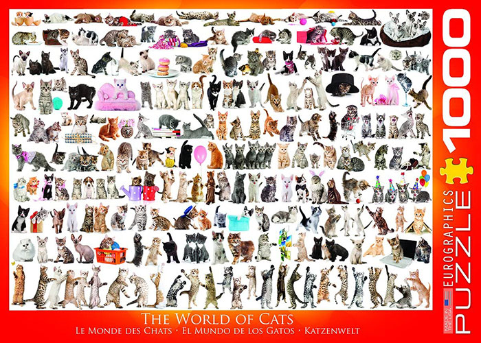 The World Of Cats