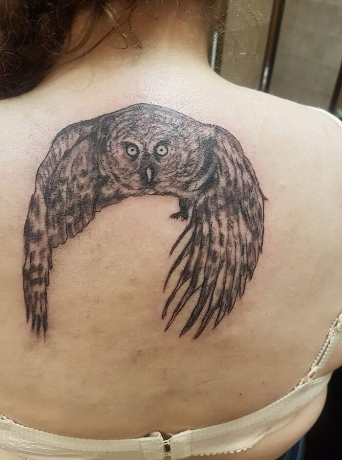 That Owl Has Seen Some Things