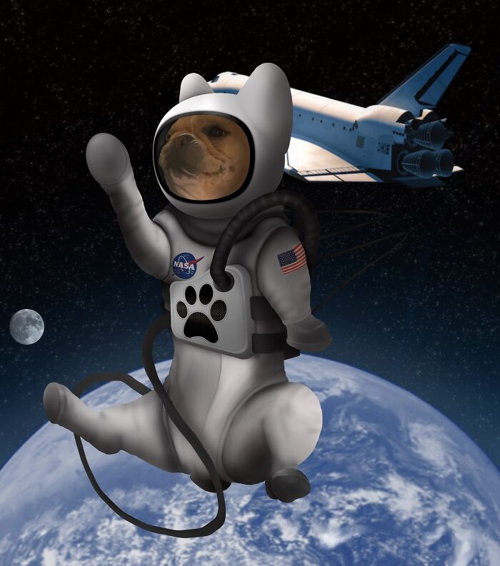 I Drew My Frenchie In Space Cuz She’s Out Of This World