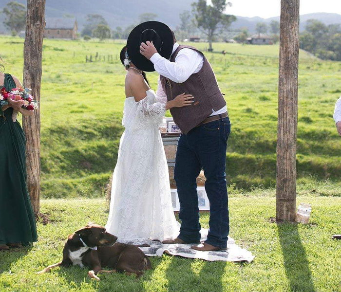 Dog Goes Viral For Photobombing Its Owners’ Wedding Picture, Others Share Their Own Pics Dog Goes Viral For Photobombing Its Owners’ Wedding Picture, Others Share Their Own Pics