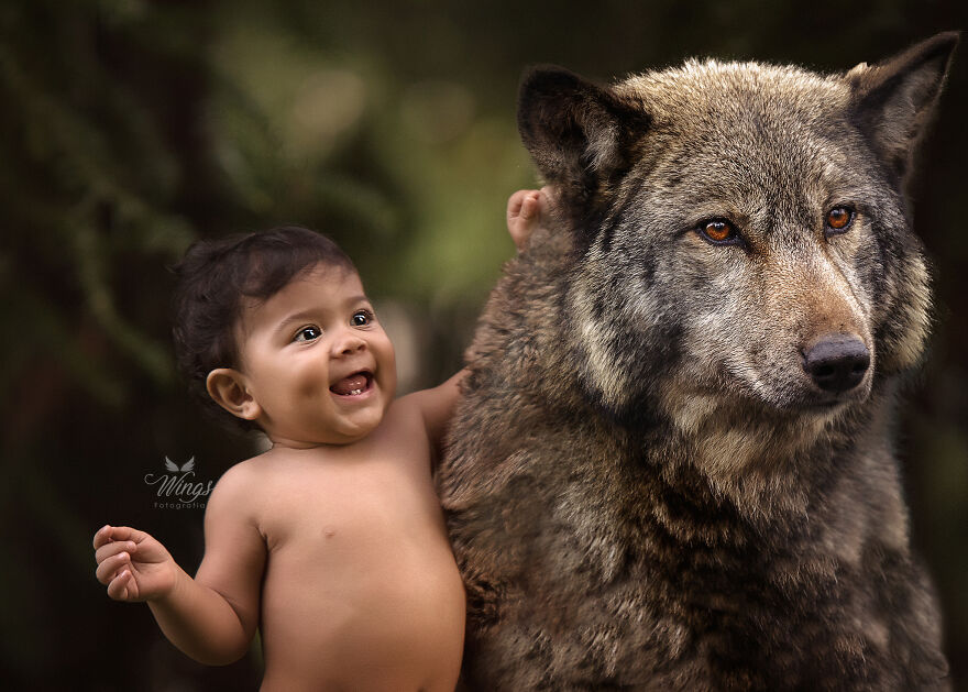 Mowgli The Wolf Boy