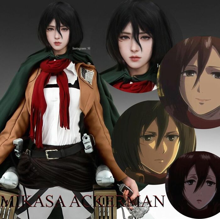 Mikasa Ackerman From Attack On Titan (Season 1)