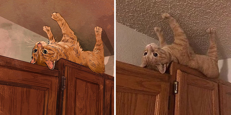 Artist Takes Cat Memes To A Whole New Level By Making Amazing Art With Them