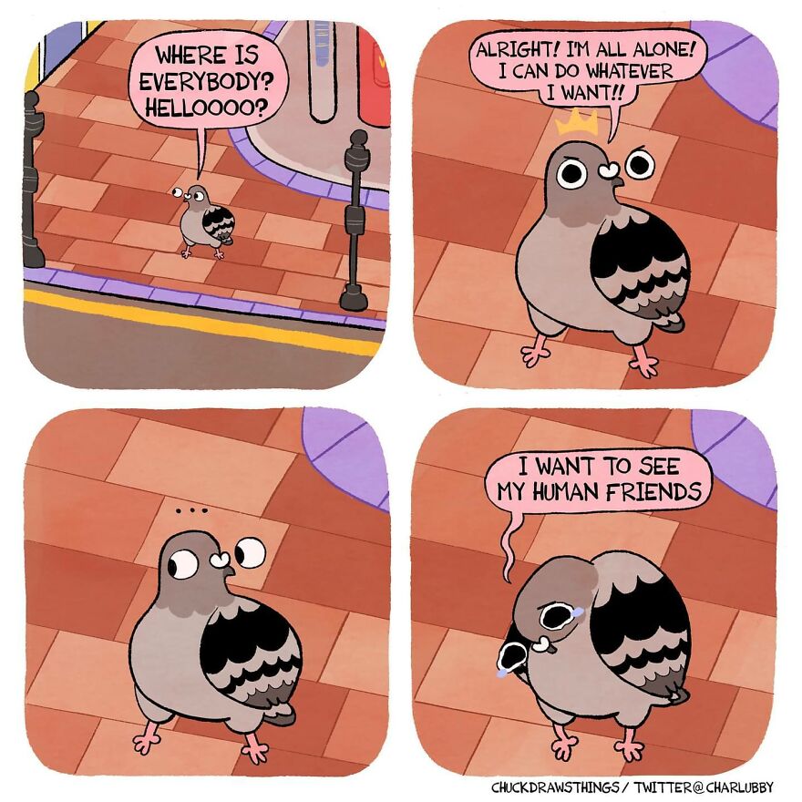 Artist Who Lives With Anxiety And Depression Creates A Pigeon As The Narrator Of His Comics That Will Bring A Smile To His Face (Interview With Artist)