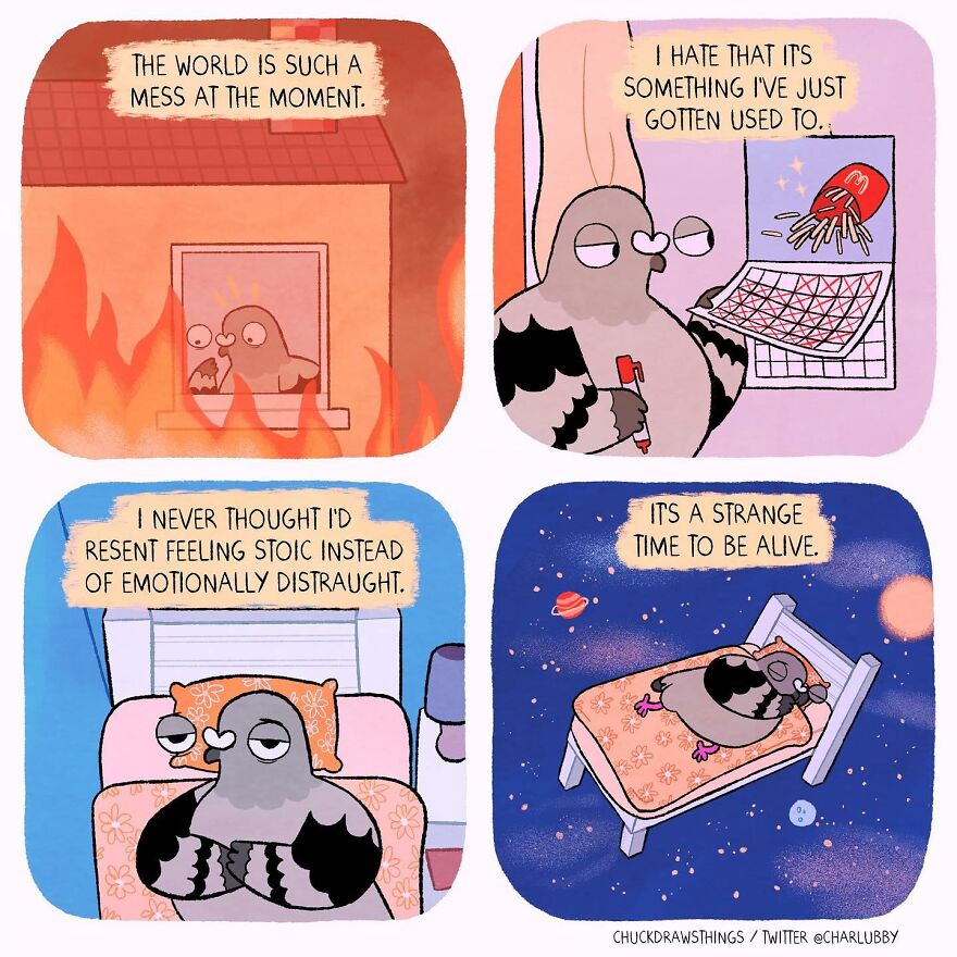 Artist Who Lives With Anxiety And Depression Creates A Pigeon As The Narrator Of His Comics That Will Bring A Smile To His Face (Interview With Artist)