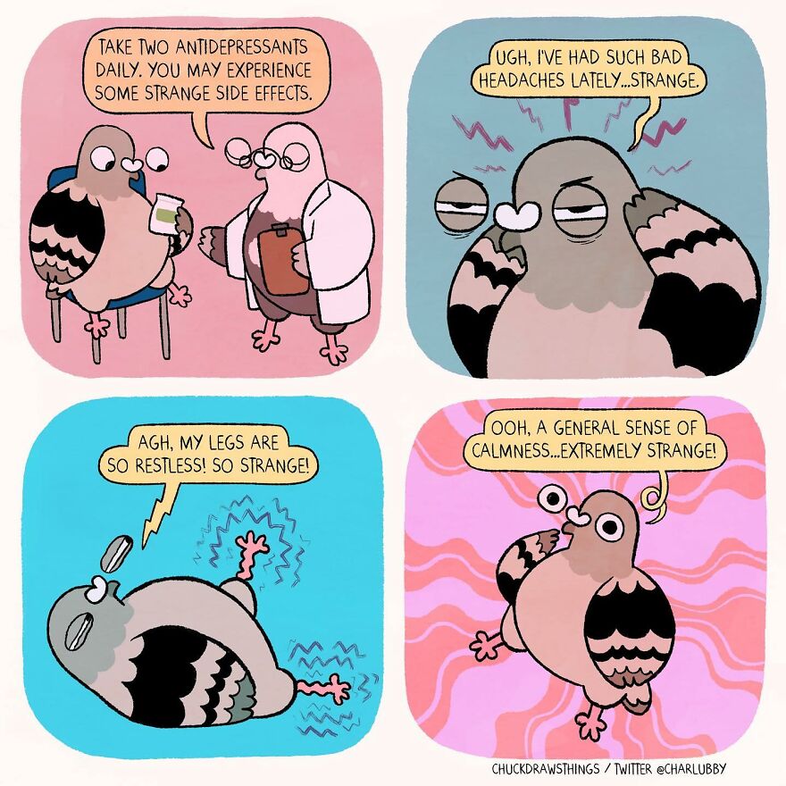 Artist Who Lives With Anxiety And Depression Creates A Pigeon As The Narrator Of His Comics That Will Bring A Smile To His Face (Interview With Artist)