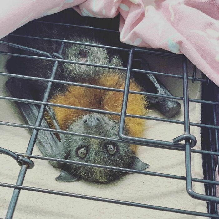 I Look Like I'm In Jail