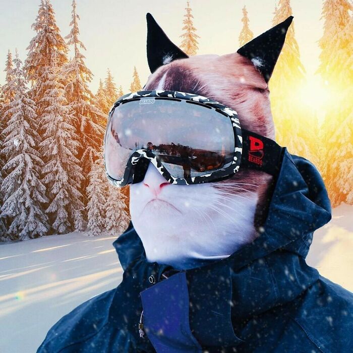 Kitty Winter Snow Mask - $26.99