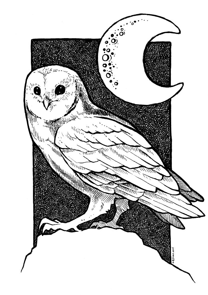 A Little Drawing Of A Barn Owl I Made For Inktober Challenge