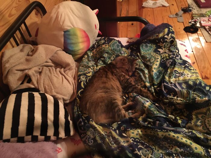 My Stuffed Rabbit Is Under The Bump That He’s Cuddling With