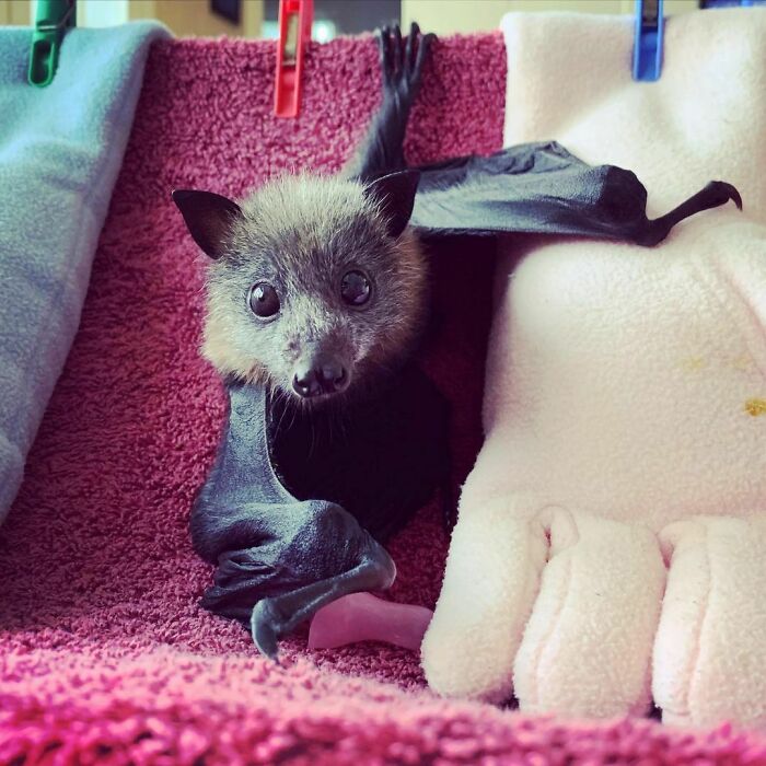 Have A Great Day Love Uno