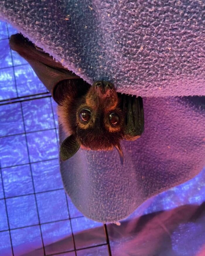 Charlotte Says Good Morning