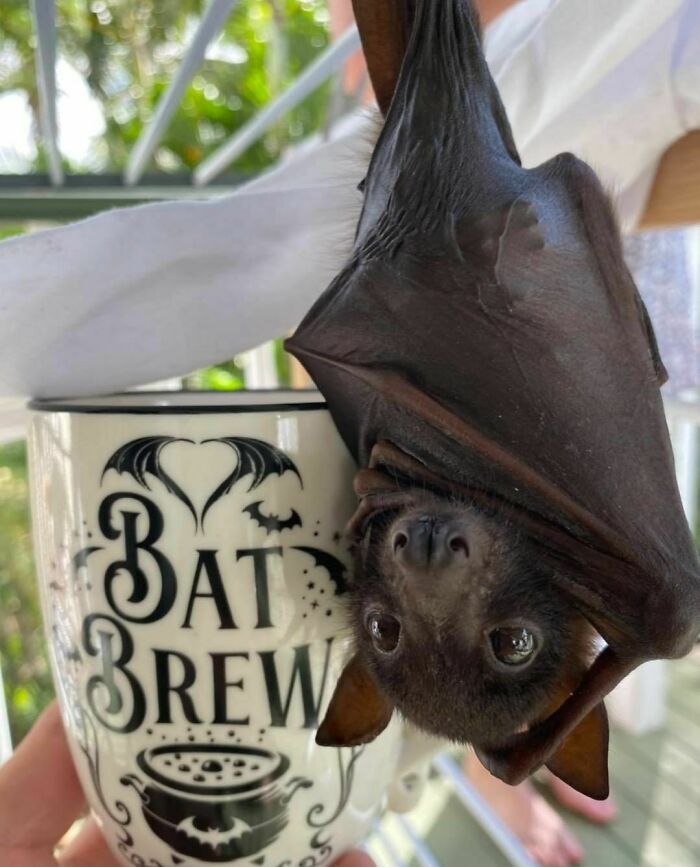 It's A Tough Gig Being A Model