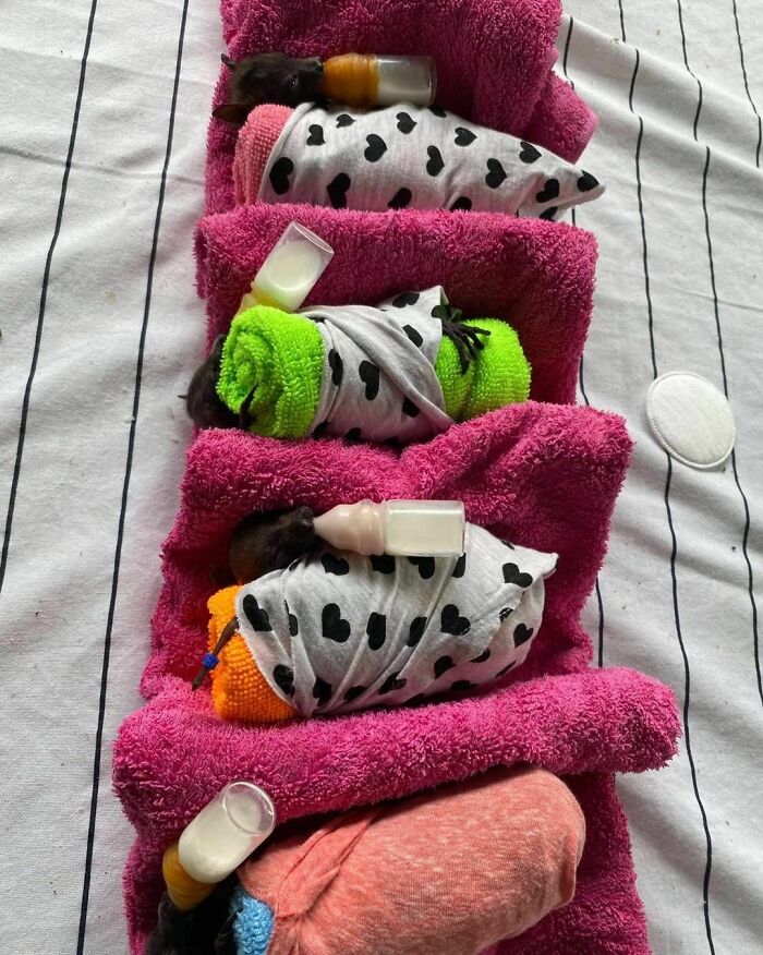 All Lined Up. All Bottled Up