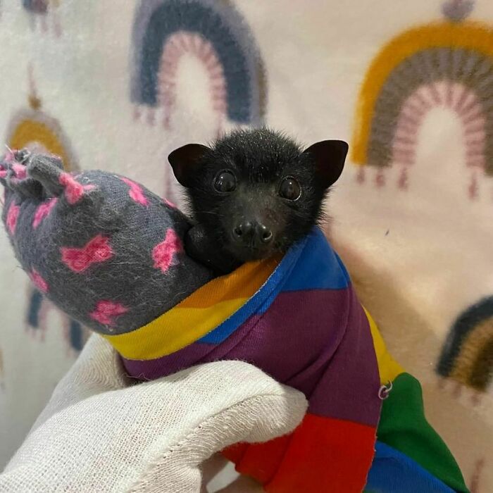 Helloooooooi Is Ready For My Milk