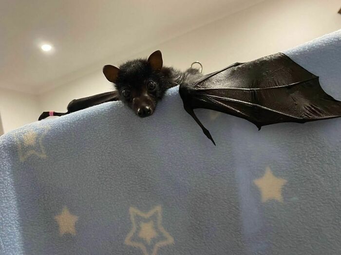 What’s Going On Over There?