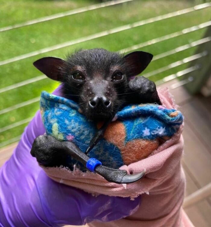 Suave. Sophisticated. Sassy. Smart