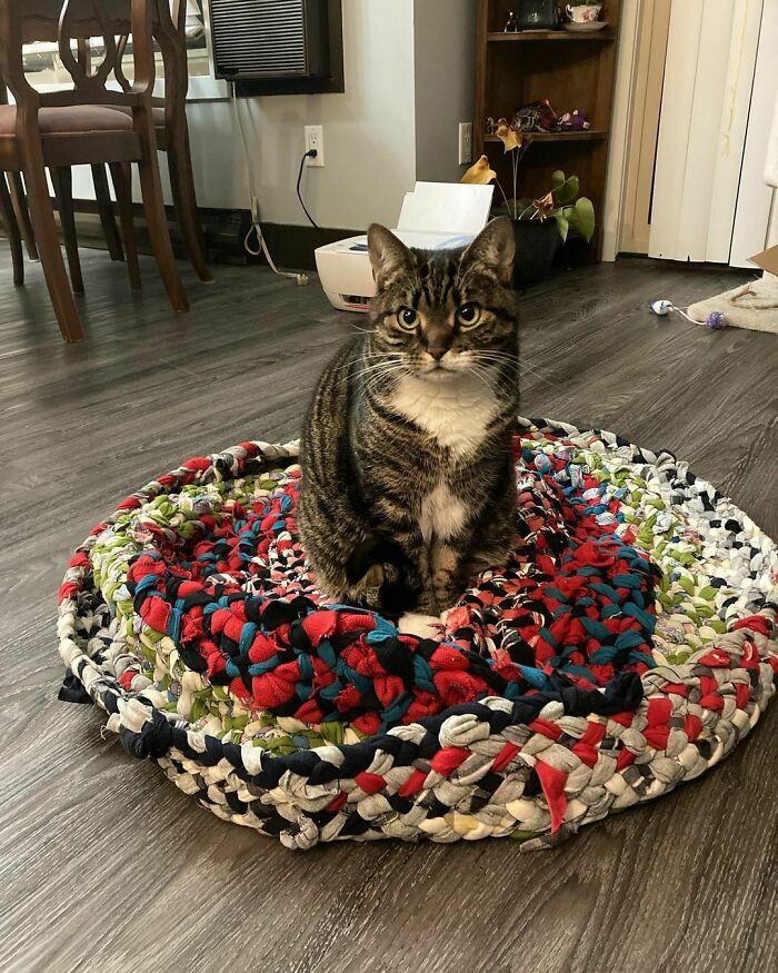 Failed Rug. I Did Not Sew It On A Flat Surface So I Couldn’t See I Was Wrapping Each Round Too Tight, And Now It Won’t Lay Flat. At Least The Cat Likes It