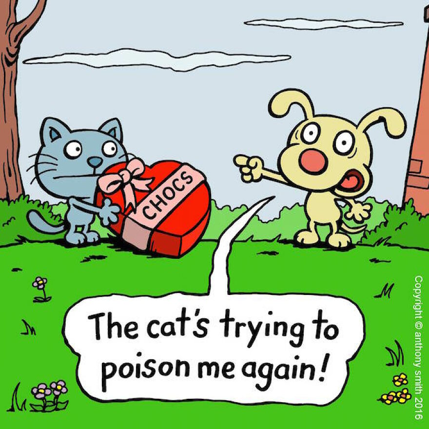 This Artist Perfectly Illustrates Your Cat's "Cattitude"-Interview With Artist