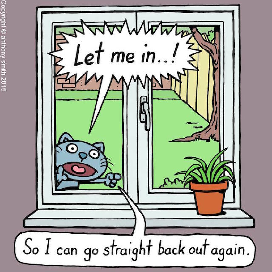 This Artist Perfectly Illustrates Your Cat's "Cattitude"-Interview With Artist