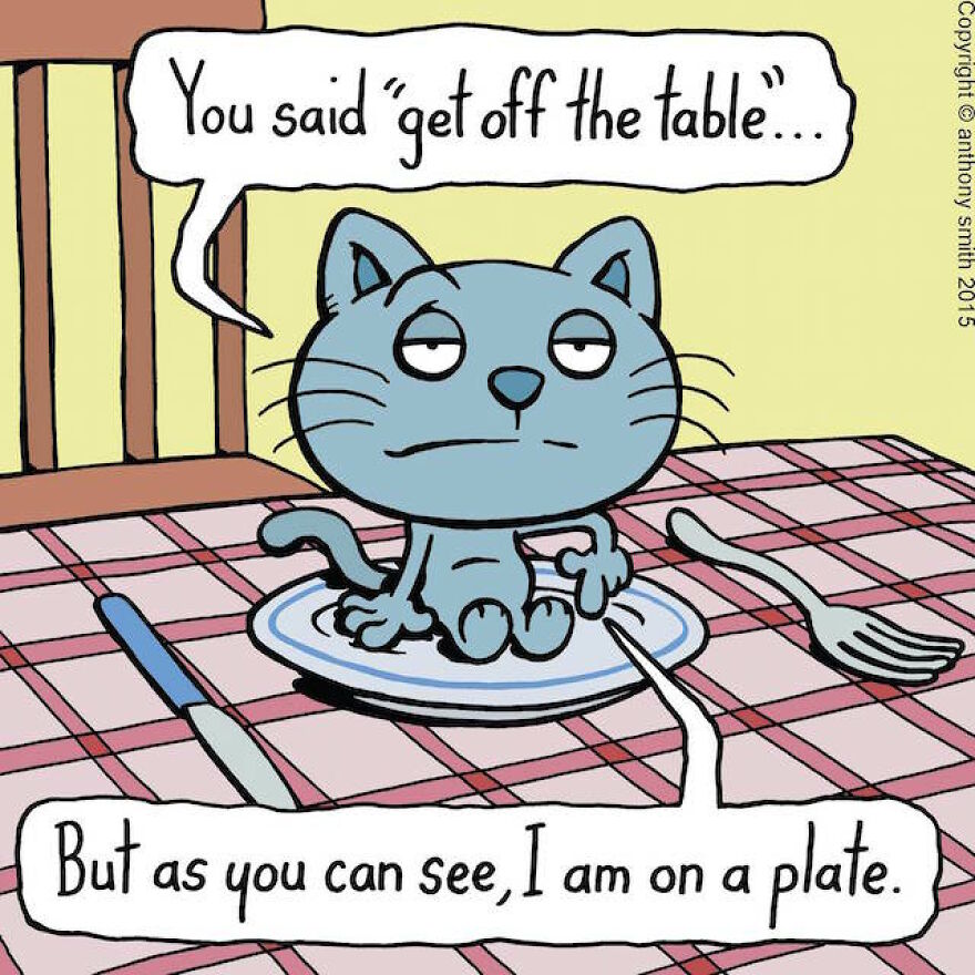 This Artist Perfectly Illustrates Your Cat's "Cattitude"-Interview With Artist