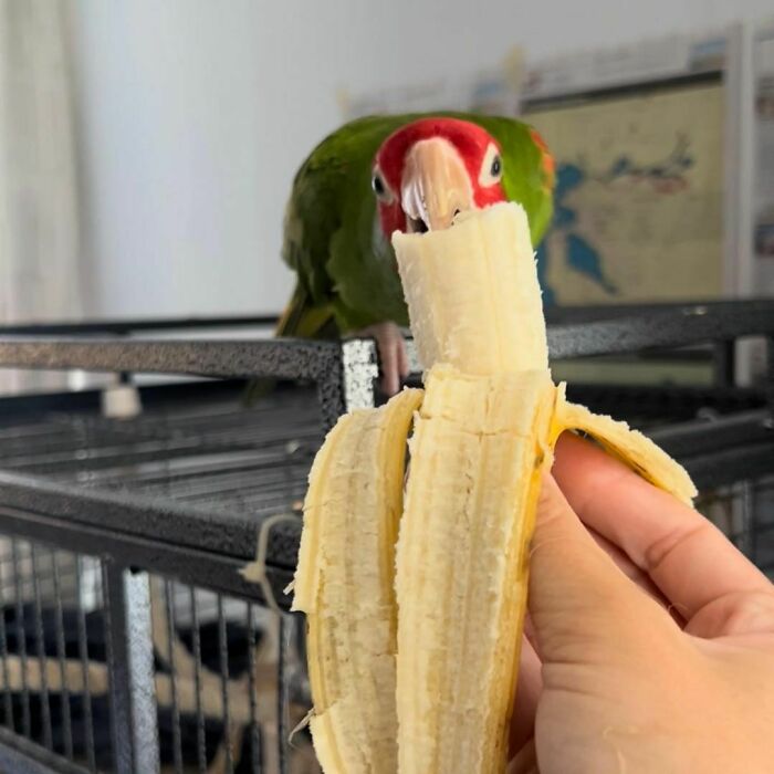 Sharing A Snack With The Birb