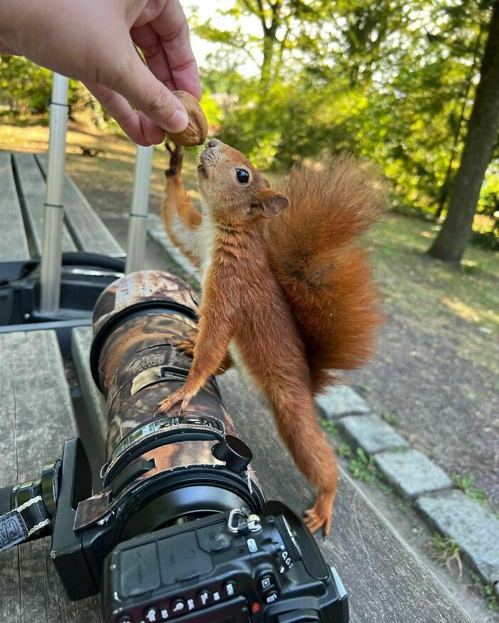 A Nice Stretch