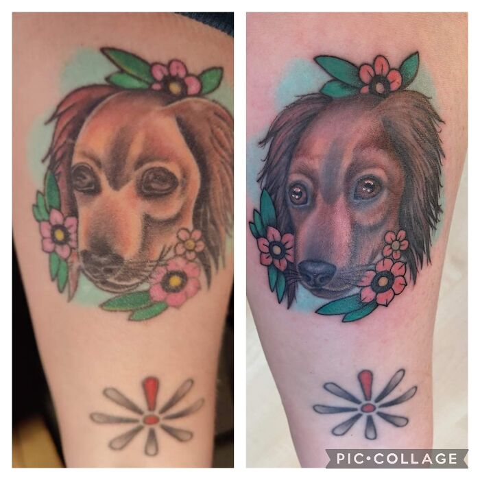 Dog tattoo with flowers on arm, showing before and after detail.