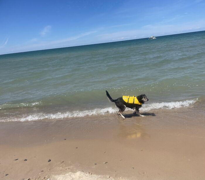 Fisherman's Island State Park, Charlevoix County, Michigan (Doggo Not Included)