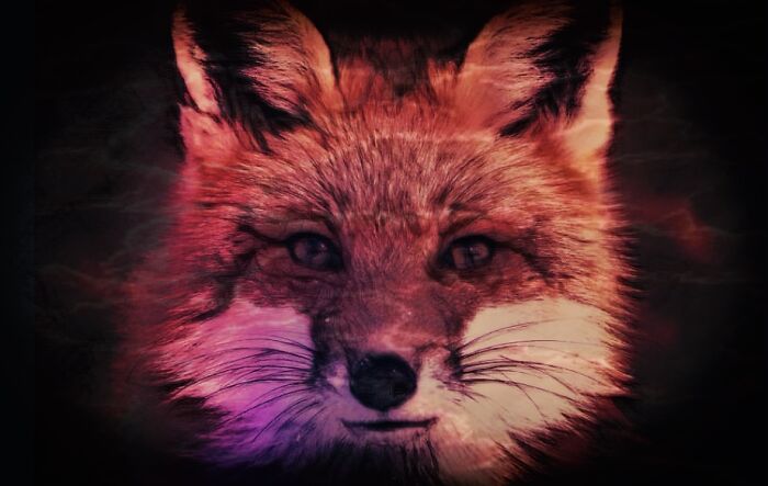 I Photoshopped This Myself :)