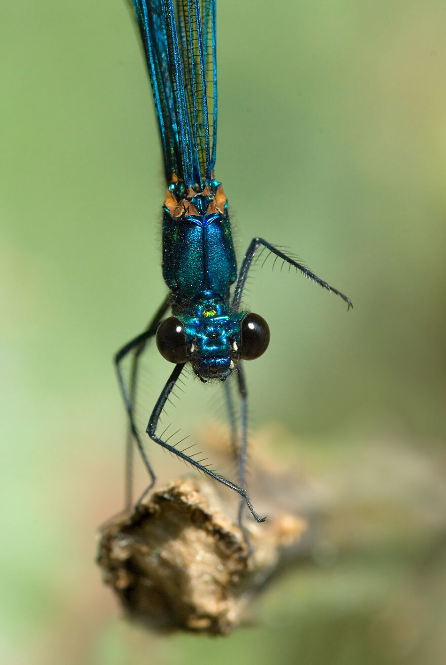 Looking For Troubles?