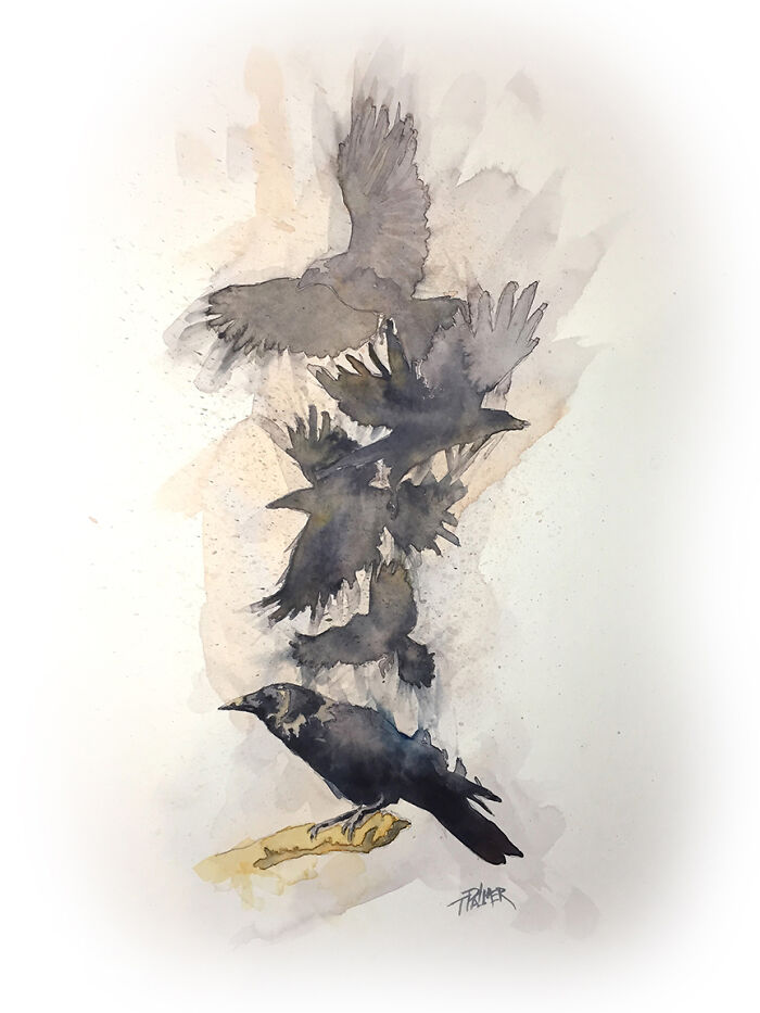 "Dreams Of Flight". Everyone Loves Crow Paintings