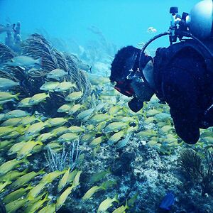 luisvasquez89 avatar