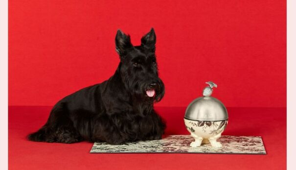 Gucci Released A Fancy Clothing And Accessories Line, And It's Lavish