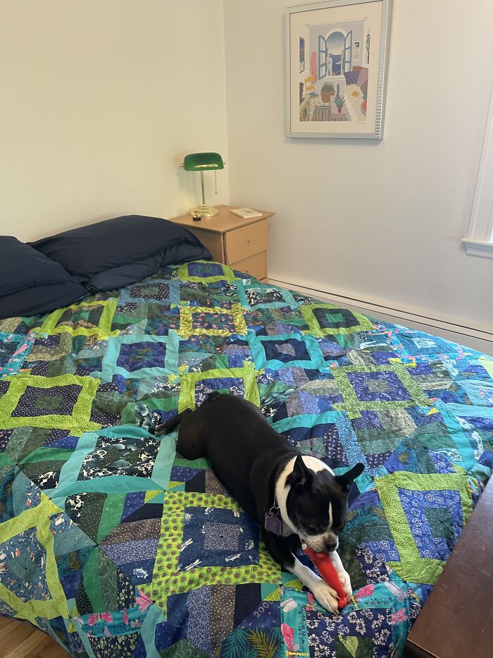 This One, Because My Dog's In It