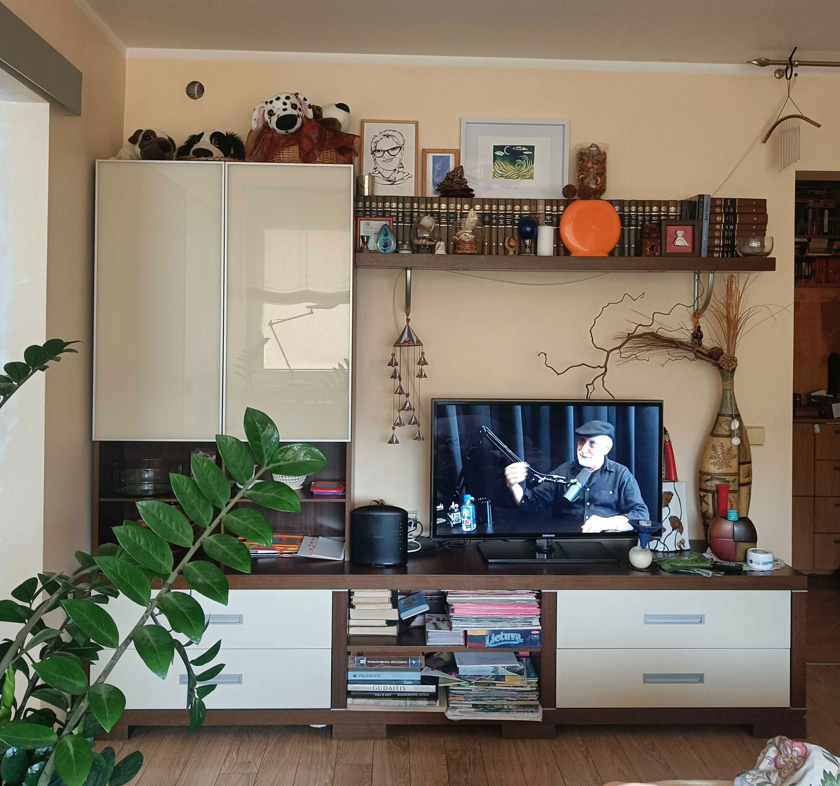 Hey Pandas, Where Is The Best Spot In Your House?